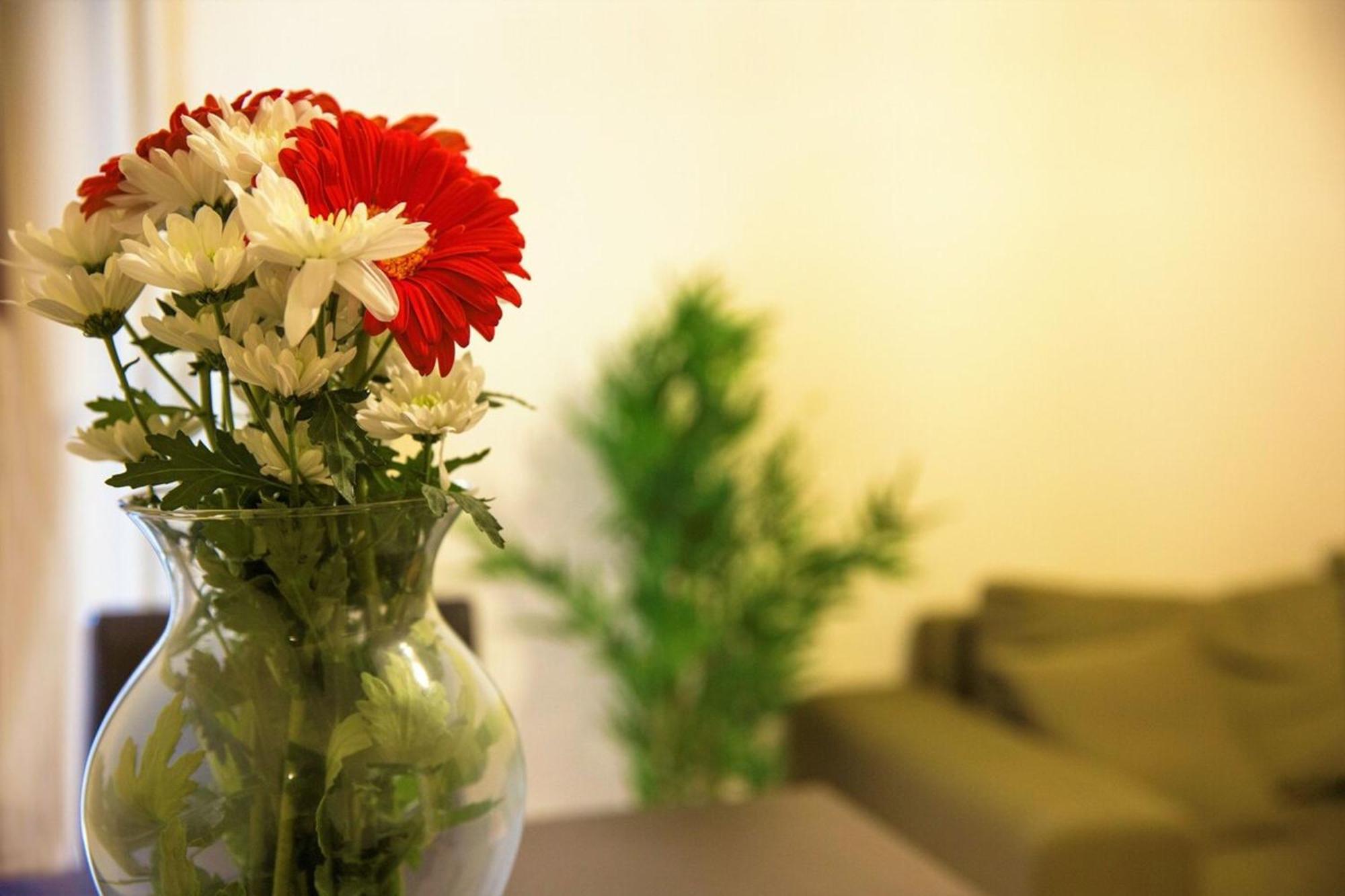 Peaceful Renovated Apartment Near Lycabettus Hill Athene Buitenkant foto